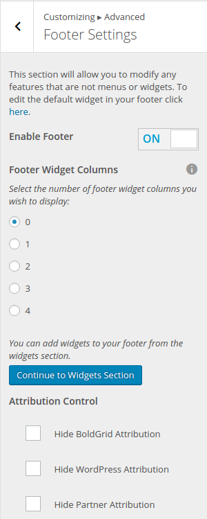 Disabled Footer Widget In WordPress Customizer