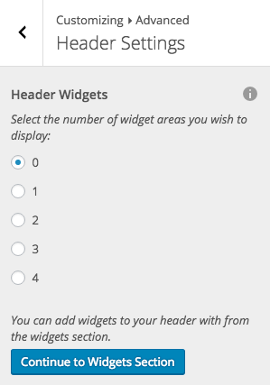 Disabled Header Widget In WordPress Customizer