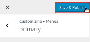 Save and Publish button highlighted
