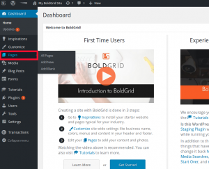 Click Pages or Posts