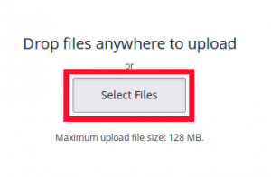 Select Files