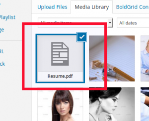 Choose your PDF file
