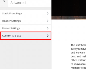 Custom JS & CSS