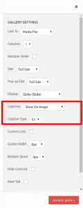 caption display options