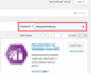 Search WooCommerce