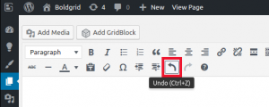 undo button in editor