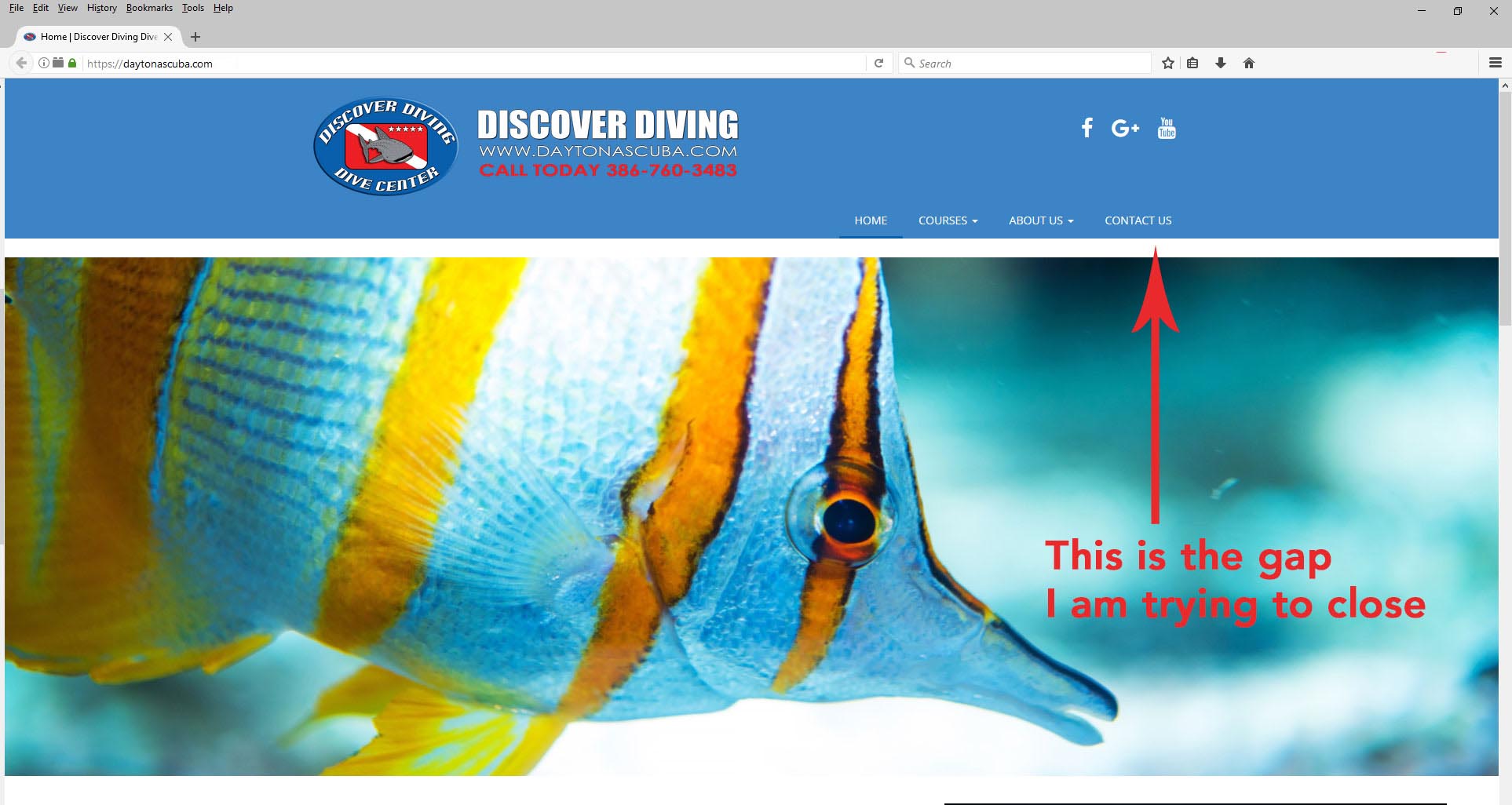 gap between home image and header