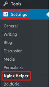 Accessing NGINX Helper Settings