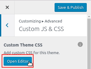 Open Editor button highlighted