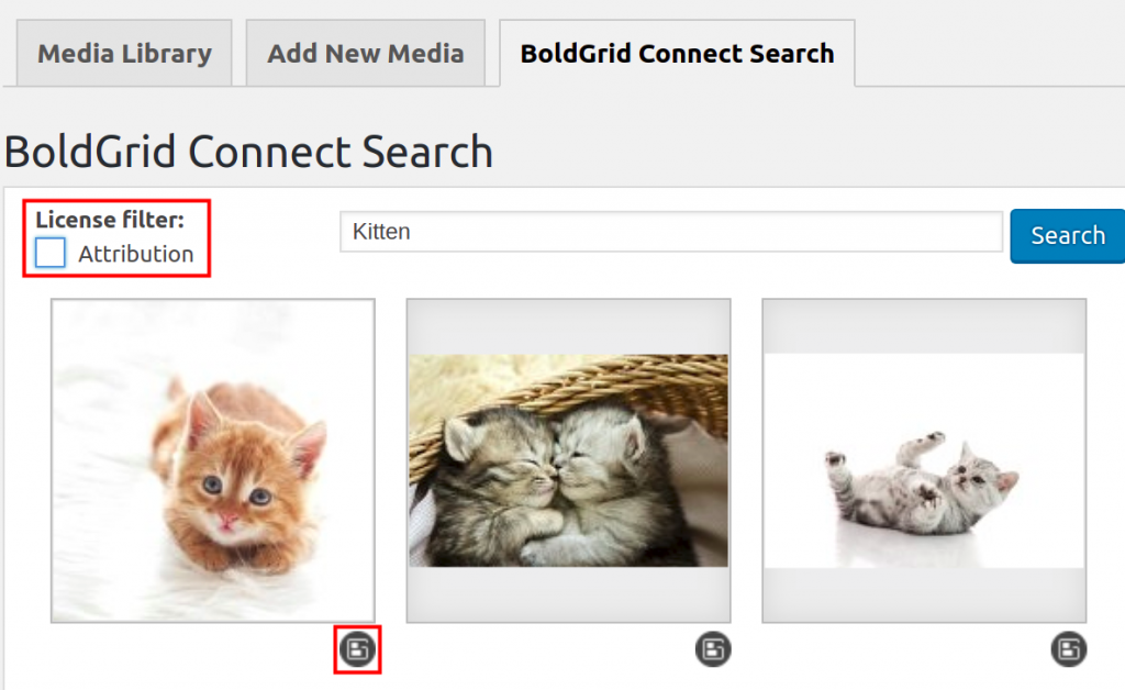 Searching for licensed images of a kitten