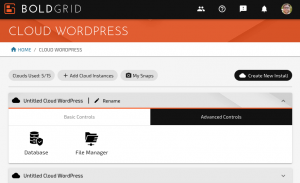 The Advanced Controls tab within Cloud WordPress