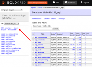 The Import command is just below the name of the database on the left side.