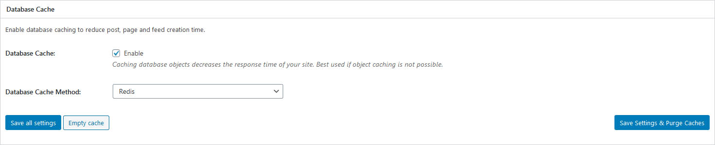 W3 Total Cache Database Caching Settings