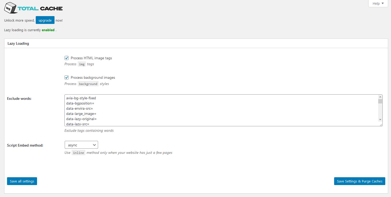 W3 Total Cache Lazy Loading Configuration