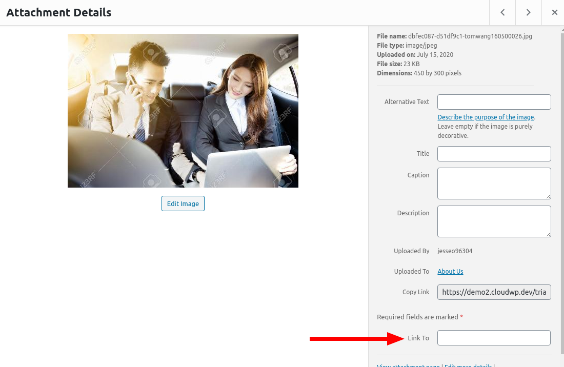 The image link to field