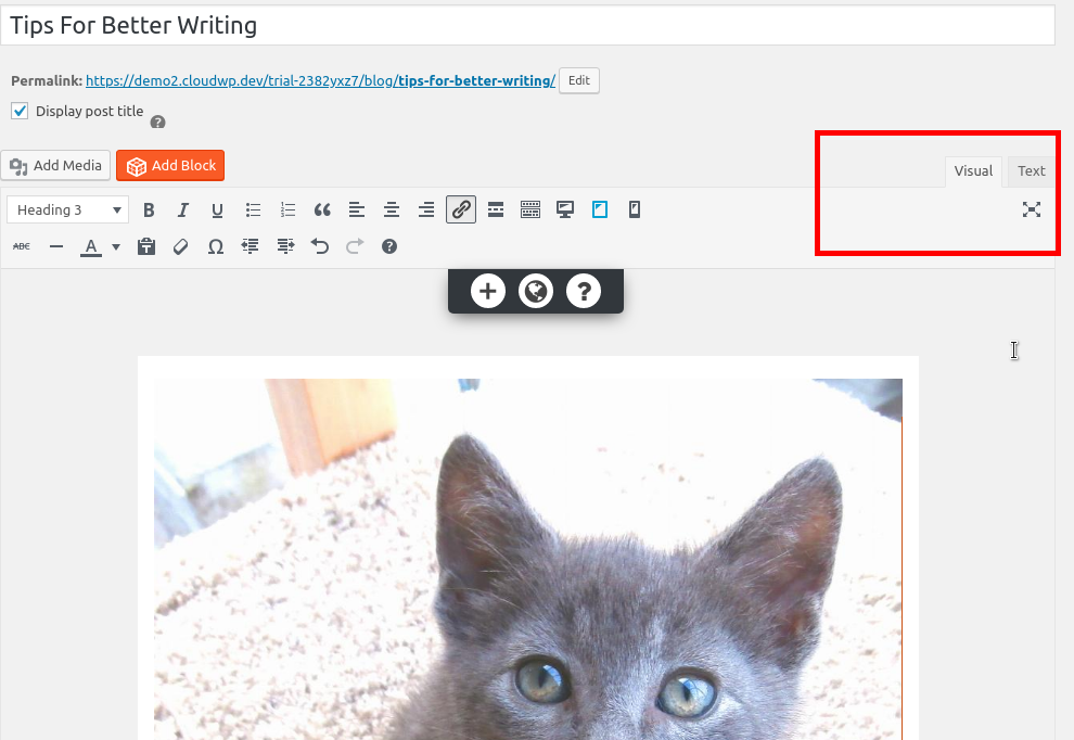 visual and text tabs in the editor