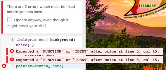 custom css editor with error showing