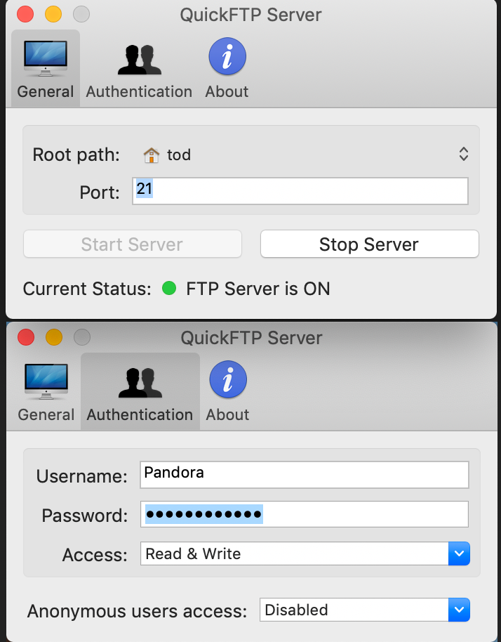 QuickFTP Server details