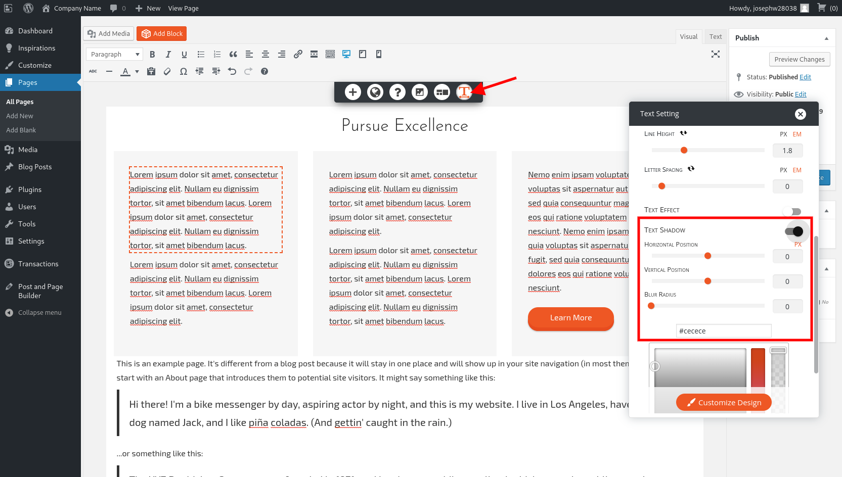 Text Shadow option in editor