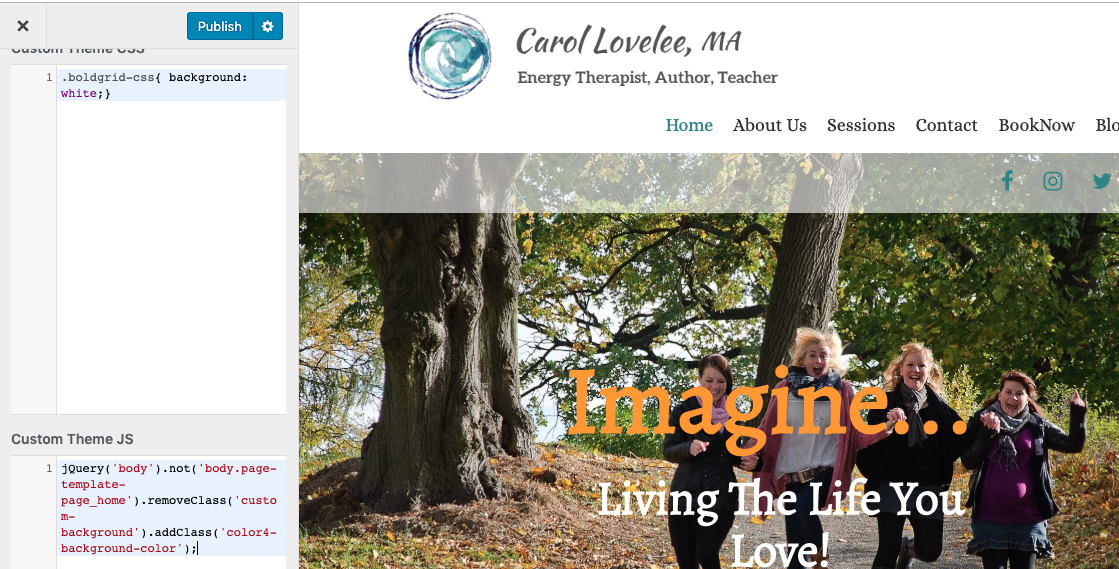 Custom Javascript in Customizer