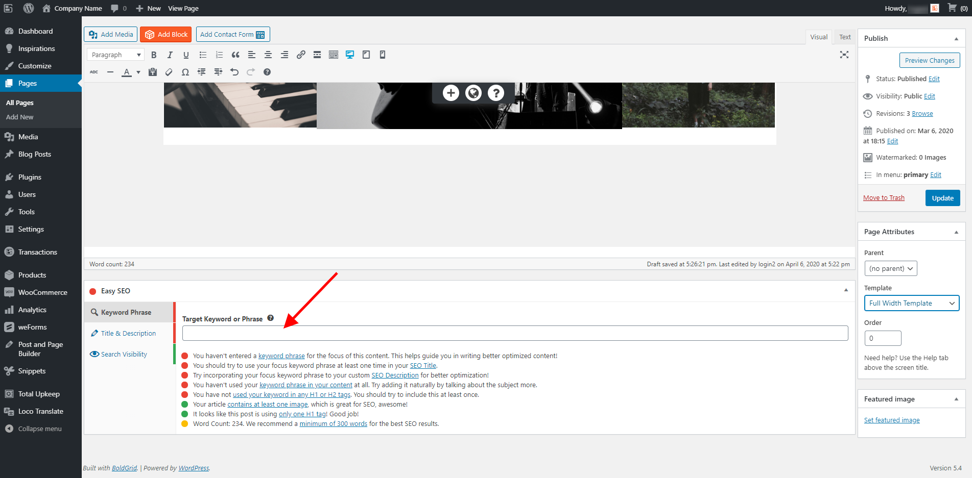 Easy SEO Plugin Keyword input