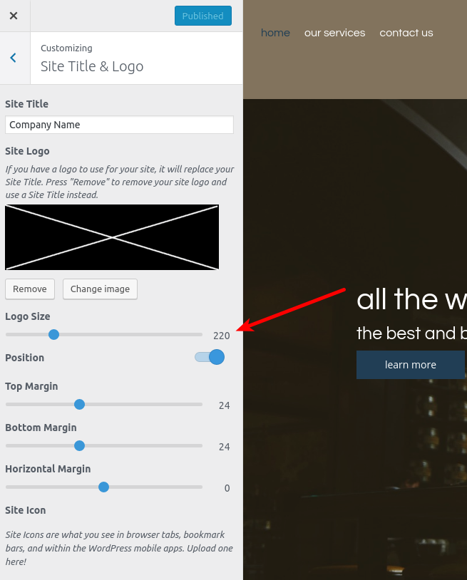 Logo Size option in Customizer