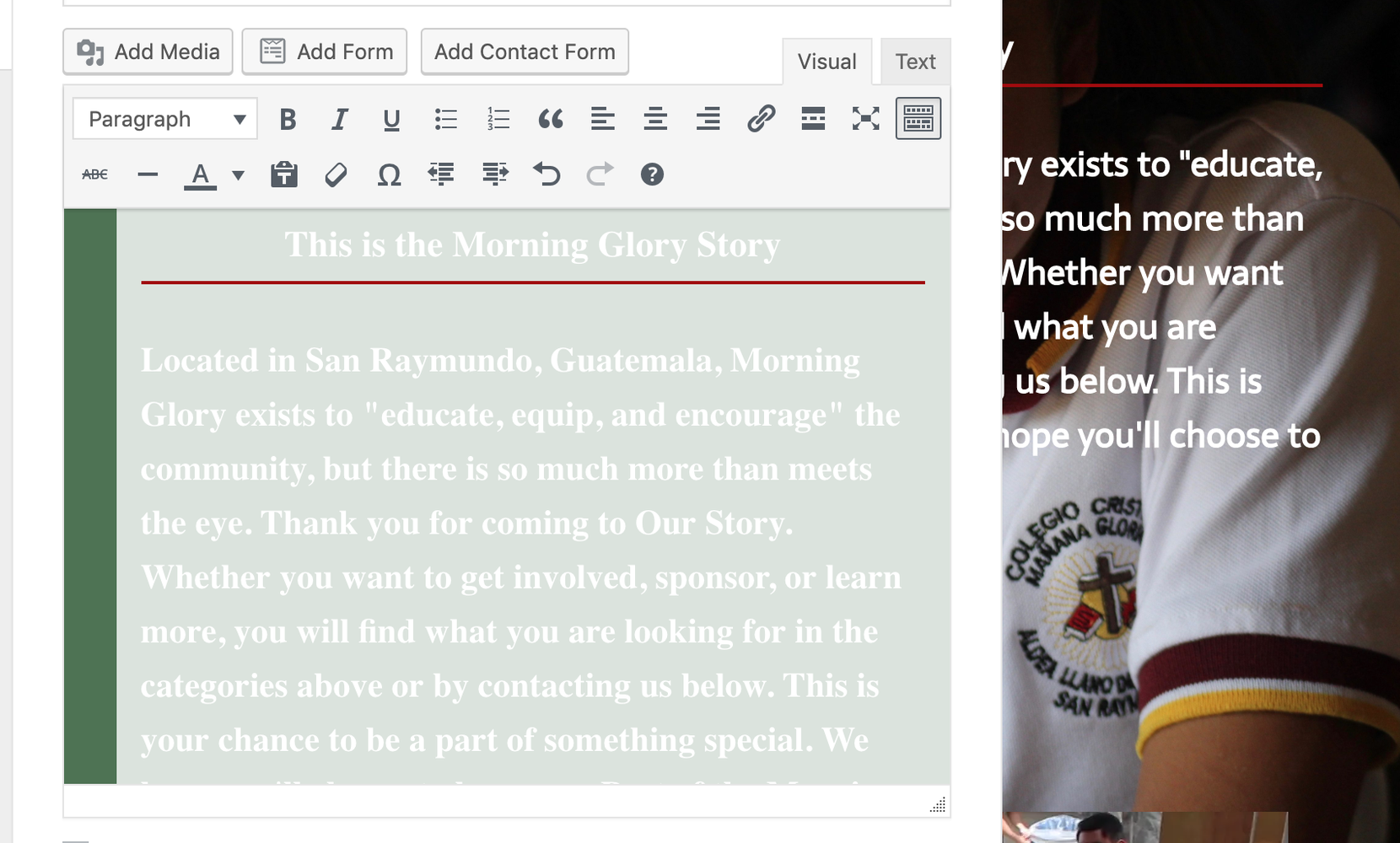 Visual editor for widgets