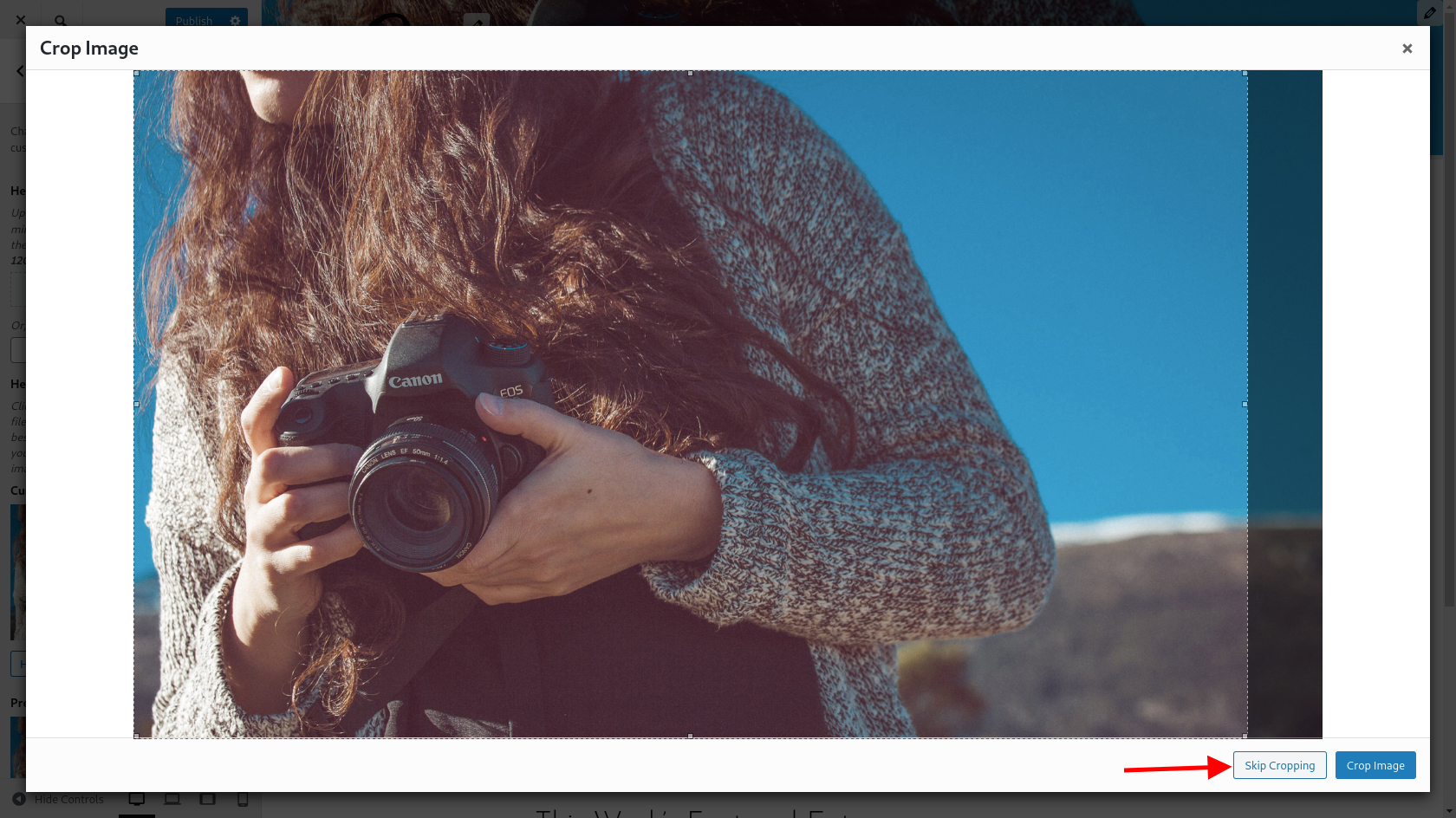 gray Skip Cropping button