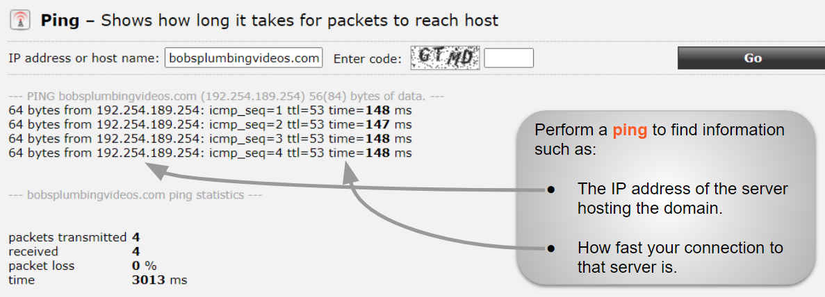 An example of pinging a domain name