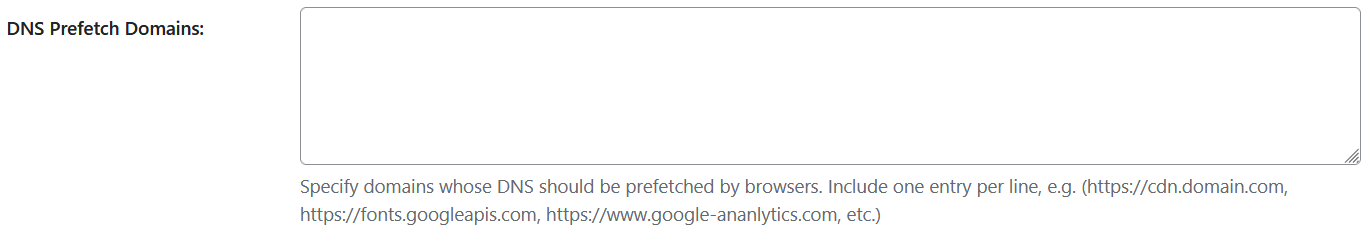 DNS Prefetch Domains input