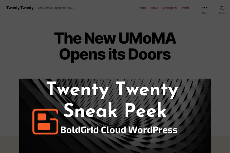 Twenty Twenty Sneak Peek