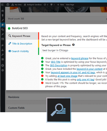 WordPress website seo