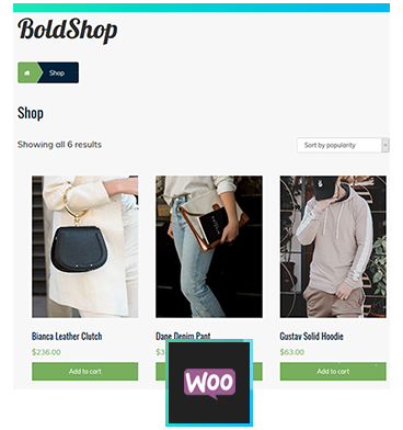 WooCommerce WordPress plugin