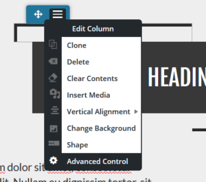 post and page builder advanced controls