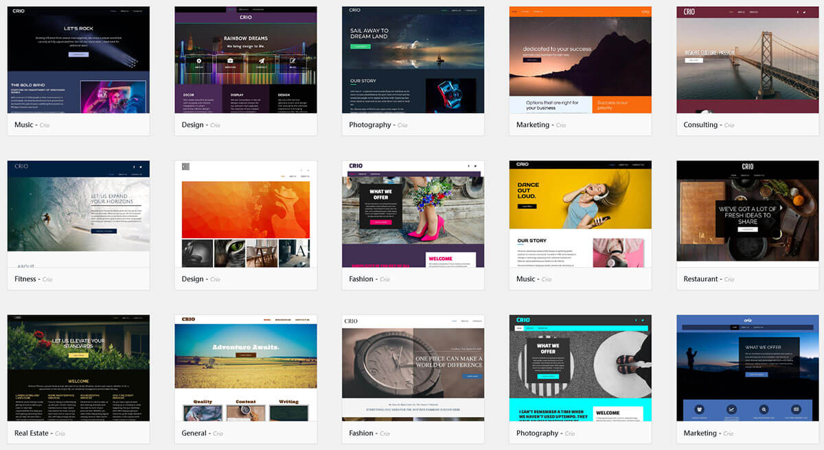 WordPress Themes for Business