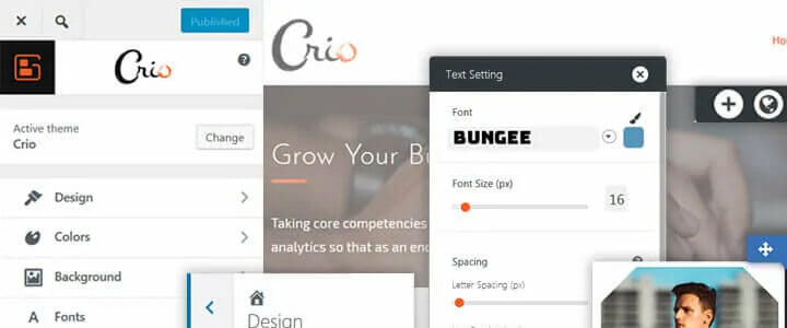 WordPress Theme for Business