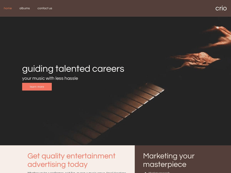 WordPress Music Theme Example 2