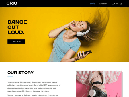 WordPress Music Theme Example 3