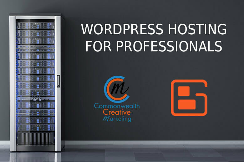 WordPress Hosting for Professionals